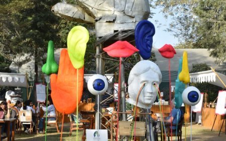 ART INSTALLATIONS BY STUDENTS STAND OUT AT JLF 2024