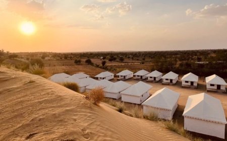 Cozy Soirees to Grand Galas: Hariyali Dhani Makes Every Event Special