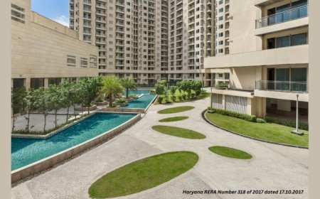 Ambience Group Owner Explains Why Indian Real Estate Optimism is Soaring to a Decadal High in Q1 2024