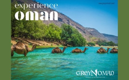 Explore the Magic of Oman with Greynomad